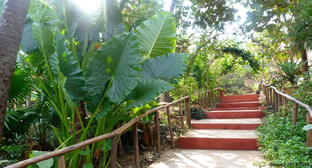 Secret Garden Resort Патнэм Экстерьер фото
